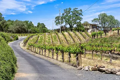 5143 Dry Creek Road, Healdsburg, CA 95448 - Photo 16