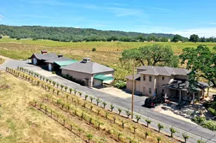 5143 Dry Creek Rd, Healdsburg, CA 95448 - Photo 84
