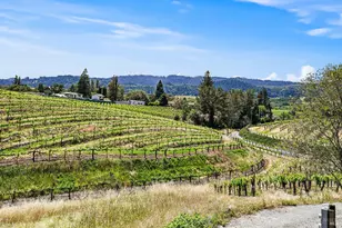 5143 Dry Creek Rd, Healdsburg, CA 95448 - Photo 56