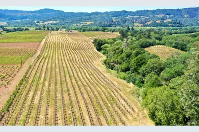 5143 Dry Creek Road, Healdsburg, CA 95448 - Photo 76