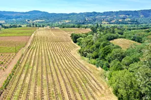 5143 Dry Creek Rd, Healdsburg, CA 95448 - Photo 76
