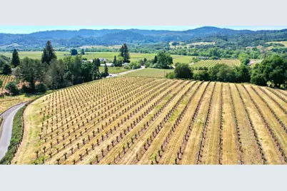 5143 Dry Creek Road, Healdsburg, CA 95448 - Photo 82
