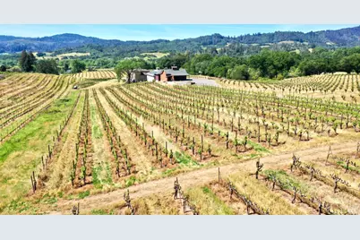 5143 Dry Creek Road, Healdsburg, CA 95448 - Photo 64