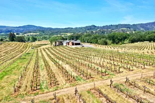 5143 Dry Creek Rd, Healdsburg, CA 95448 - Photo 64