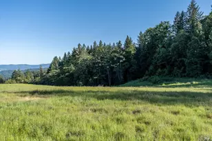 28801 Pinecrest Rd, Willits, CA 95490 - Photo 62