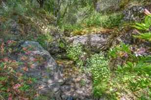 75 Lee St, Mill Valley, CA 94941 - Photo 60