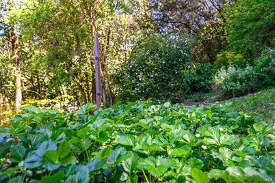 683 Wagnon Road, Sebastopol, CA 95472 - Photo 12