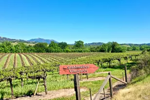 4951 W Soda Rock Ln, Healdsburg, CA 95448 - Photo 24