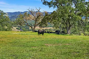 5520 W Soda Rock Ln, Healdsburg, CA 95448 - Photo 14
