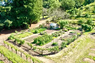 5520 W Soda Rock Ln, Healdsburg, CA 95448 - Photo 88