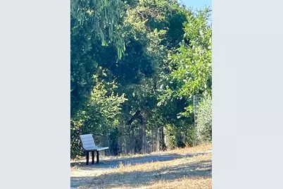 189 El Camino Corto, Walnut Creek, CA 94596 - Photo 82
