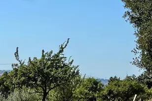 189 El Camino Corto, Walnut Creek, CA 94596 - Photo 84