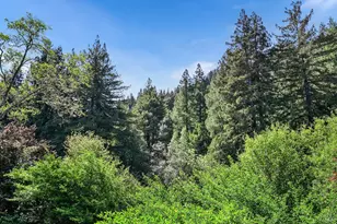 1365 Austin Creek Rd, Cazadero, CA 95421 - Photo 16