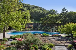 58 Mt Muir Ct, San Rafael, CA 94903 - Photo 78