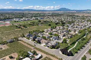 16 Privet Ct, Oakley, CA 94561 - Photo 42
