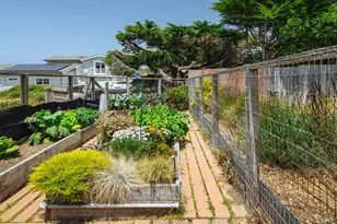 221 Oceana Dr, Dillon Beach, CA 94929 - Photo 46