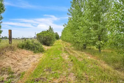 8304 Shadi Lane, Winters, CA 95694 - Photo 90