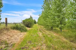 8304 Shadi Ln, Winters, CA 95694 - Photo 90
