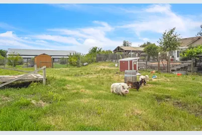 8304 Shadi Lane, Winters, CA 95694 - Photo 64