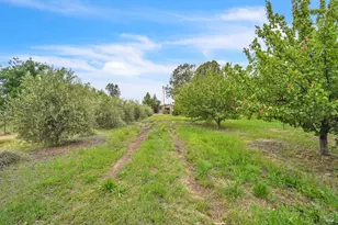 8304 Shadi Ln, Winters, CA 95694 - Photo 96