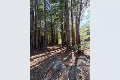 45400 Bill Owens Road, Point Arena, CA 95468 - Photo 12