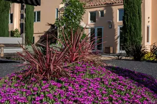 942 Country Club Ln, Sonoma, CA 95476 - Photo 4