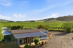 156 Bear Flag Rd, Sonoma, CA 95476 - Photo 50