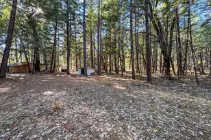 1141 Ten Mile Creek Rd, Laytonville, CA 95454 - Photo 6