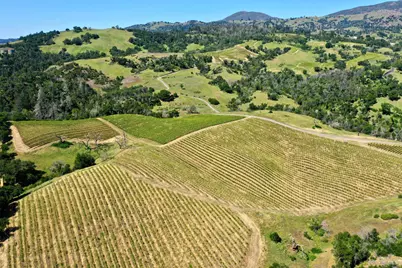 309 Artisan Circle, Geyserville, CA 95441 - Photo 36