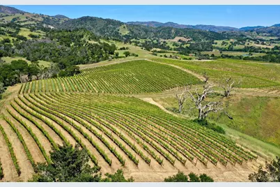 309 Artisan Circle, Geyserville, CA 95441 - Photo 26