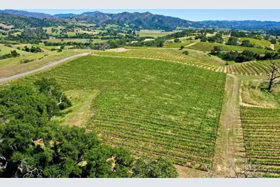 309 Artisan Circle, Geyserville, CA 95441 - Photo 40