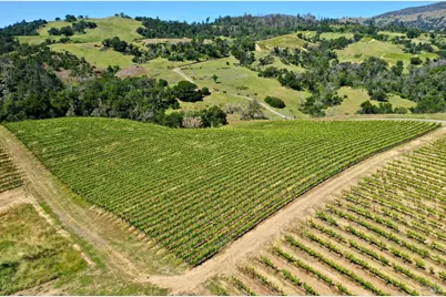 309 Artisan Circle, Geyserville, CA 95441 - Photo 30
