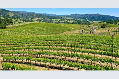 309 Artisan Circle, Geyserville, CA 95441 - Photo 4
