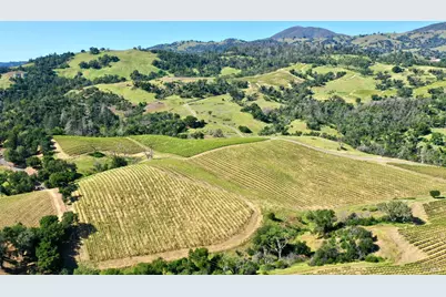 309 Artisan Circle, Geyserville, CA 95441 - Photo 52