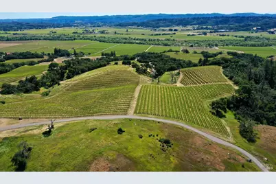 309 Artisan Circle, Geyserville, CA 95441 - Photo 48