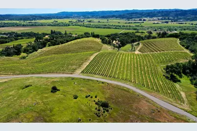309 Artisan Circle, Geyserville, CA 95441 - Photo 46