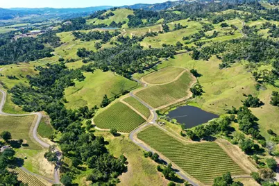 746 Artisan Circle, Geyserville, CA 95441 - Photo 24