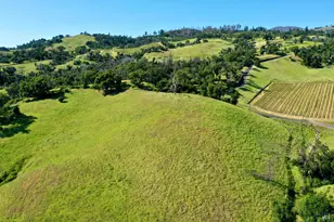 746 Artisan Cir, Geyserville, CA 95441 - Photo 40