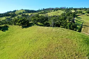 746 Artisan Cir, Geyserville, CA 95441 - Photo 54