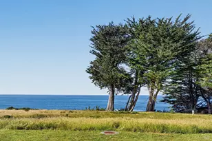 233 Solstice, The Sea Ranch, CA 95497 - Photo 8