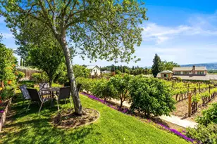 7035 Silverado Trail, Napa, CA 94558 - Photo 68