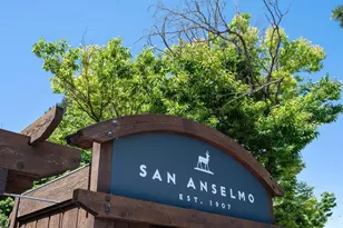 36 Mariposa Ave, San Anselmo, CA 94960 - Photo 48