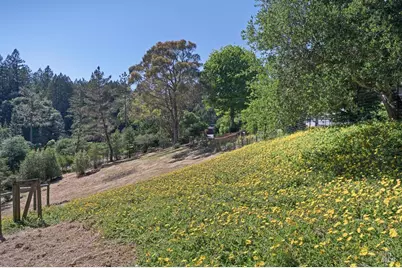 15555 Bittner Road, Occidental, CA 95465 - Photo 50