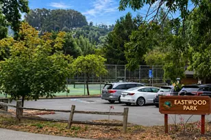 351 Carrera Dr, Mill Valley, CA 94941 - Photo 72