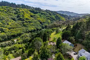 351 Carrera Dr, Mill Valley, CA 94941 - Photo 54