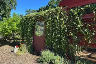 853 Cypress Ave, Novato, CA 94947 - Photo 22