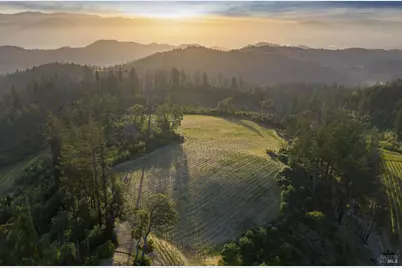 3801 Mount Veeder Road Road, Napa, CA 94558 - Photo 6