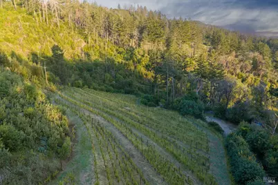 3801 Mount Veeder Road Road, Napa, CA 94558 - Photo 18