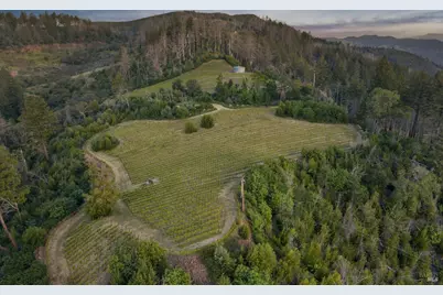 3801 Mount Veeder Road Road, Napa, CA 94558 - Photo 8
