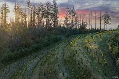 3801 Mount Veeder Road Road, Napa, CA 94558 - Photo 20